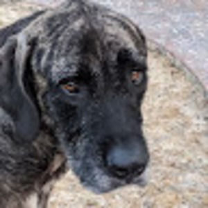 Meet your Posher, Corin